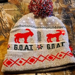 Light up American Eagle GOAT stocking hat